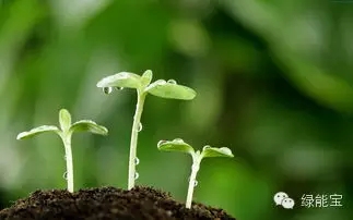 【圖解】太陽能：到底有多“能”？ 